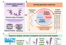 MIT Researchers Develop VibeGen: An AI Tool that Designs Novel Proteins by Modeling their Dynamics VibeGen