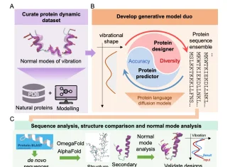 MIT Researchers Develop VibeGen: An AI Tool that Designs Novel Proteins by Modeling their Dynamics VibeGen