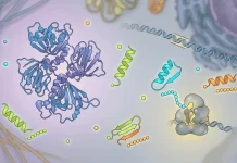 Beyond the Known Proteome: Microproteins and Peptideins Expand the Blueprint of Life Microproteins and Peptideins