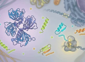 Beyond the Known Proteome: Microproteins and Peptideins Expand the Blueprint of Life Microproteins and Peptideins
