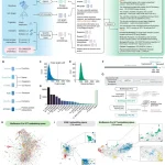 BioReason-Pro Allows Structured Reasoning for Protein Function Predictions BioReason-Pro
