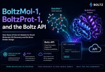 Boltz Launches BoltzMol-1, BoltzProt-1, and a New API for Small Molecule Hit Discovery and De Novo Binder Design BoltzMol-1, BoltzProt-1, and a New API for Small Molecule Hit Discovery and Protein Design