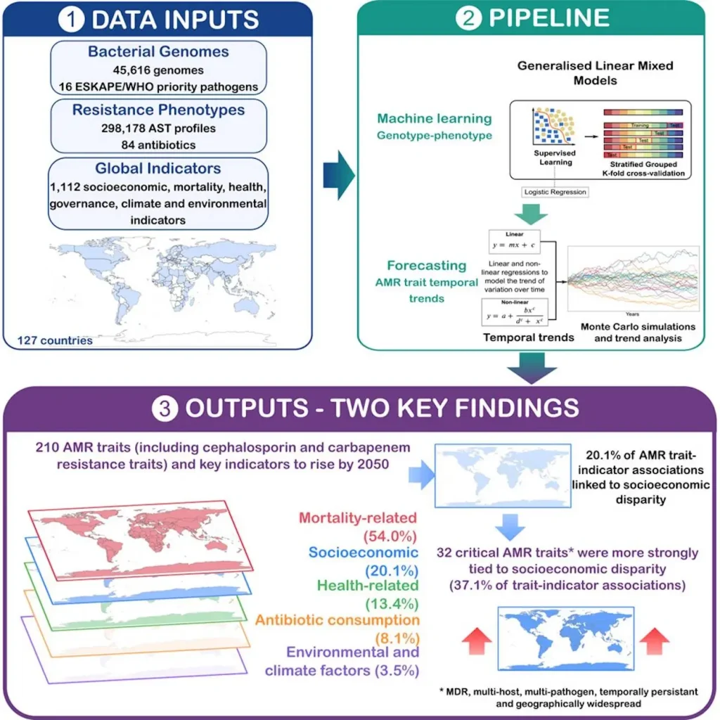 Can Machine Learning Forecast Antibiotic Resistance Trends Across the Globe?