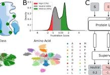 Meet FrustrAI-Seq: Proteome-Wide Frustration Profiling Without Structural Inputs FrustrAI-Seq