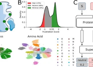 Meet FrustrAI-Seq: Proteome-Wide Frustration Profiling Without Structural Inputs FrustrAI-Seq