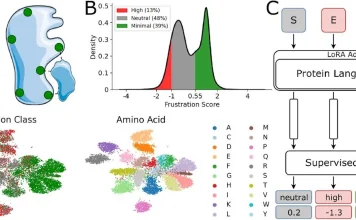 Meet FrustrAI-Seq: Proteome-Wide Frustration Profiling Without Structural Inputs FrustrAI-Seq