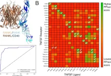 PPIscreenML: A Rigorous Machine Learning Approach to Screening Protein-Protein Interactions with AF2 PPIscreenML