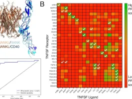 PPIscreenML: A Rigorous Machine Learning Approach to Screening Protein-Protein Interactions with AF2 PPIscreenML