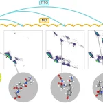 What If Molecular Simulations Could Run 10,000 Times Faster? Transferable Implicit Operators (TITO).