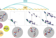 What If Molecular Simulations Could Run 10,000 Times Faster? Transferable Implicit Operators (TITO).