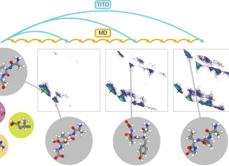 What If Molecular Simulations Could Run 10,000 Times Faster? Transferable Implicit Operators (TITO).