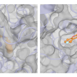 From Fragment to Drug Candidate: How Sesame Uses AI to Build Better Molecules Sesame (Spatial Evoformer for a Structure-Aware Molecular Engine)