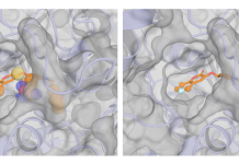 From Fragment to Drug Candidate: How Sesame Uses AI to Build Better Molecules Sesame (Spatial Evoformer for a Structure-Aware Molecular Engine)