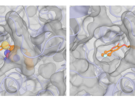 From Fragment to Drug Candidate: How Sesame Uses AI to Build Better Molecules Sesame (Spatial Evoformer for a Structure-Aware Molecular Engine)