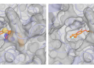 From Fragment to Drug Candidate: How Sesame Uses AI to Build Better Molecules Sesame (Spatial Evoformer for a Structure-Aware Molecular Engine)