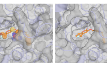 From Fragment to Drug Candidate: How Sesame Uses AI to Build Better Molecules Sesame (Spatial Evoformer for a Structure-Aware Molecular Engine)