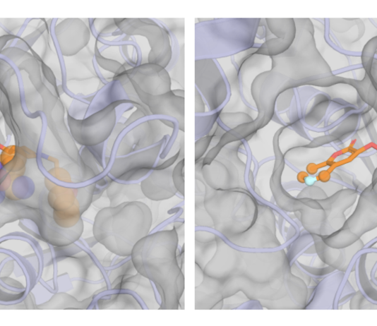 From Fragment to Drug Candidate: How Sesame Uses AI to Build Better Molecules Sesame (Spatial Evoformer for a Structure-Aware Molecular Engine)