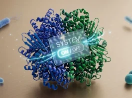 Scientists Discover TB’s Metabolic “Control Switch” — A New Target for Tuberculosis Drugs Mycobacterium tuberculosis Control Switch