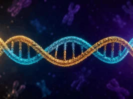 Scientists Create a Near-Perfect Telomere-to-Telomere Diploid Human Genome Benchmark for Personalized Genomics Scientists Build a Near-Perfect Telomere-to-Telomere Diploid Human GenomeScientists Build a Near-Perfect Telomere-to-Telomere Diploid Human Genome