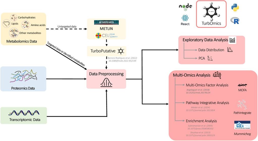 TurbOmics workflow.
